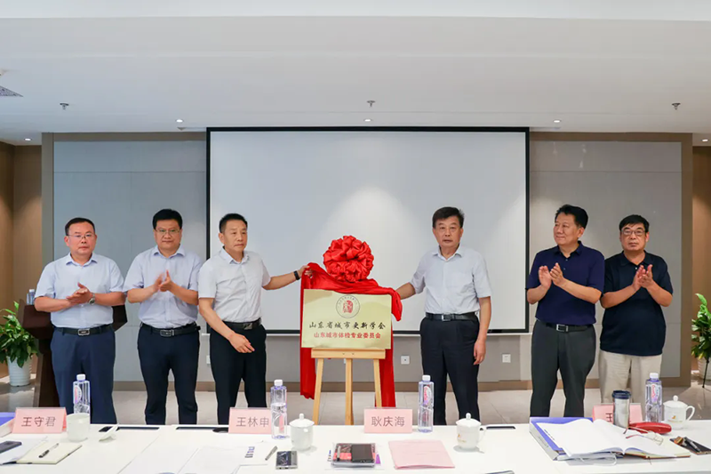 山東省城市更新學(xué)會(huì)山東城市體檢專(zhuān)業(yè)委員會(huì)成立